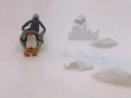 Pingu 21