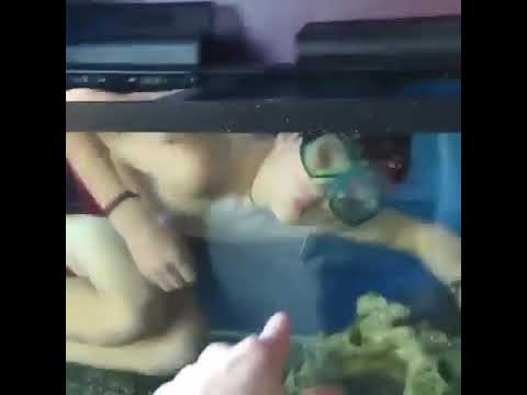 Swimming in a fish tank | GET OUT OF MY FISH TANK