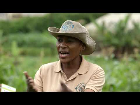 Shamba Shape Up Sn 11 - Ep 4: Soil Testing, PATG water tank, Pest&diseases, EPC & Nutrition(English)