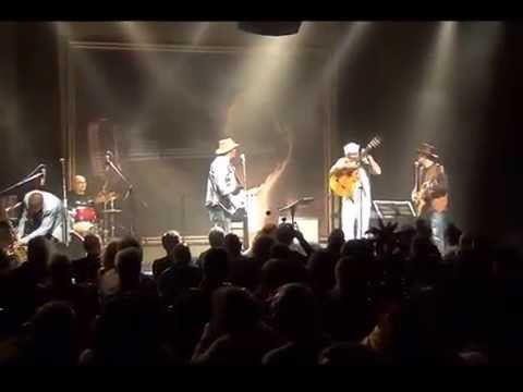 תקציר טיש פורים