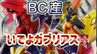 レイジングサーフ開封2【ポケカ開封動画】