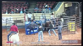 Two Sunny - Frank Perkins Quarter Horses