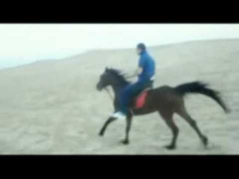 اسرج باللّيل حصانك (رايح عالعسكرية)-فيديو كليب