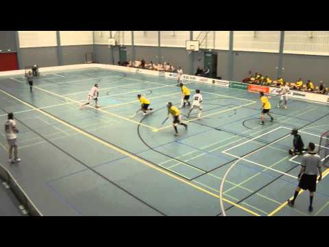 Maalikooste Kataja   Voima