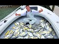 Commercial Fishing For Pompano... Catch and Sell