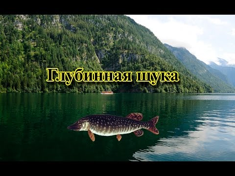 Русская Рыбалка 3.99 Глубинная щука рекорд
