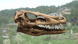 preview picture of video 'On a trouvé un dinosaure à Dimitile ! C'est un raptor'