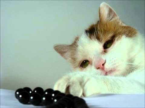 Gigli and de Luca sing Del tempio al limitar