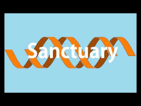 Origene - Sanctuary (The Traveller Remix)