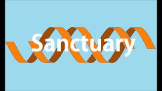 Origene - Sanctuary (The Traveller Remix)