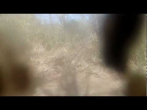 2012 GNCC Round 11 Powerline Park   Part 3