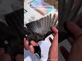 Get up close to a Common Grackle with a bird banding team