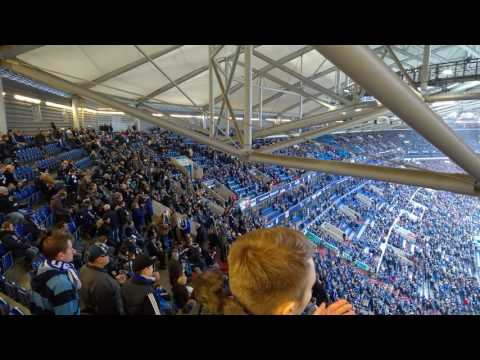 Schalke, Mannschaftaufstellung, Arena auf Schalke, Darmstadt, 27.11.2016