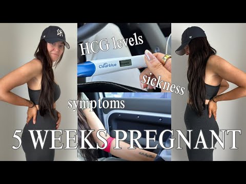 5 Weeks Pregnant: Symptoms, HCG Levels, and Pregnancy After Loss