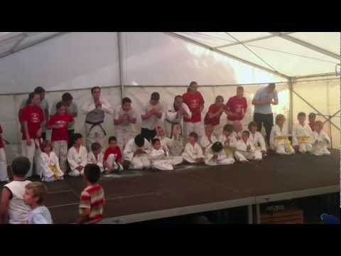 Show Böswisli 2011 | TAEKWONDO BÜLACH