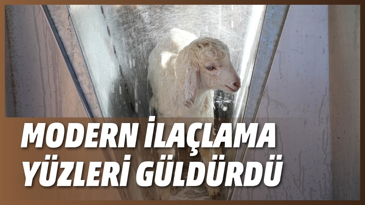 MODERN İLAÇLAMA YÜZLERİ GÜLDÜRDÜ