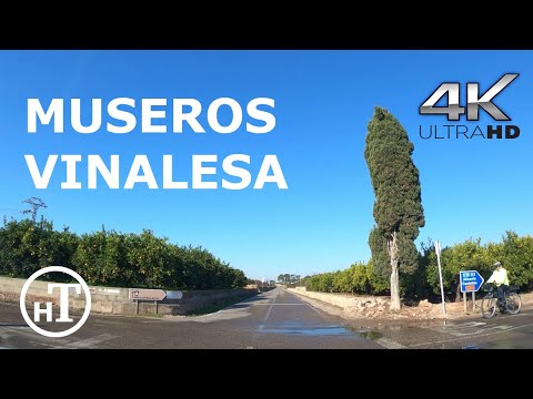 From Museros to Vinalesa - Valencia - Spain [4K|60fps]