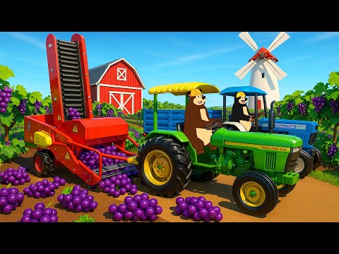Tractor Work Day 🚜🍇 | Harvesting Grapes & Transport to Market | Real Farm Animation