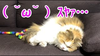 zzzzzzzzz