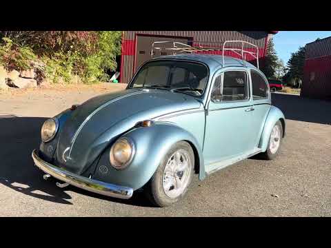1966 Volkswagen Beetle (CC-1895077) for sale in Annandale, Minnesota