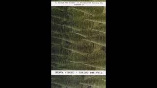 Heavy Winged - Flooded With Heavenly Dew (US, New York, experimental drone noise jam)