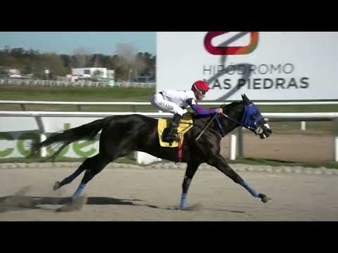 230804 c05 - ENIGMATICA - HIPODROMO LAS PIEDRAS