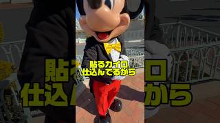 ミッキーも貼るカイロで寒さ対策してるらしい(かわいい) ディズニーランドのびっくりグリーティング🌈