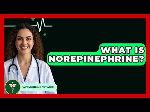 What Is Norepinephrine? - Pain Medicine Network
