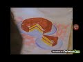 Elmos World Birthdays Film