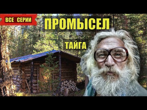 Отшельник в лесу. Отшельники в тайге. Отшельник в тайге рассказы. Отшельник в тайге рассказы. Старый охотник.