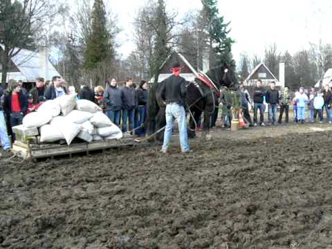 Formanské závody-areál Vojtěchov-2010-Těžký tah 1550kg-Jurdi+Marcel