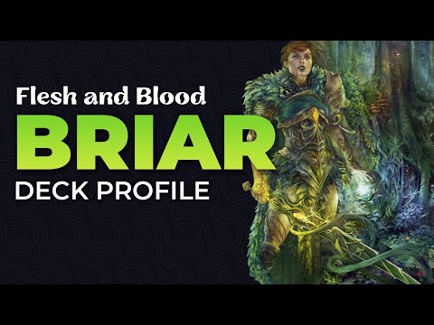 Dutch nationals 2022 Briar deck profile Feat: Semifinalist Wouter
