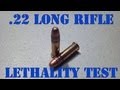 .22LR LETHALITY - 300 Yard Ballistics Test 