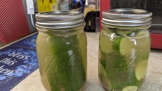 The Best Quick Homemade Refrigerated Pickles Grandma Ray's Way