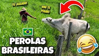 AS MELHORES PÉROLAS BRASILEIRAS 🇧🇷 | TENTE NÃO RIR 😂