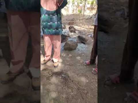 the great denkena temne comedian 2021