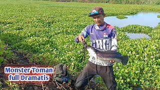 Download lagu NIAT CARI GABUS RUPANYA DAPAT MONSTER TOMAN mp3