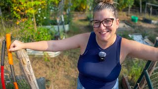 Amending Raised Garden Beds with our SECRET Recipe!