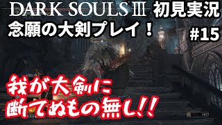 [初見実況]死にゲー初挑戦！　DARK SOULSⅢ #15