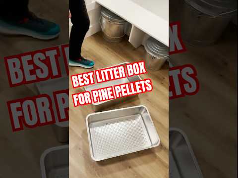 The Best Cat Litter Box for Pine Pellets