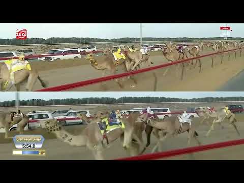 ش 7 (مذيار) لـ سعيد جابر بن عبدالله محمد الحربي 8:58:84 ، ختامي المرموم 2026/03/25 إيذاع