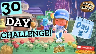 Animal Crossing New Horizons ACNH 30 Day Challenge Day 5