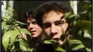 Los Delinqüentes - Tartarichi, tartari