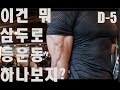 3교대 직장인 보디빌딩 대회 준비 D-5 | 등운동 | 다이어트 VLOG |
