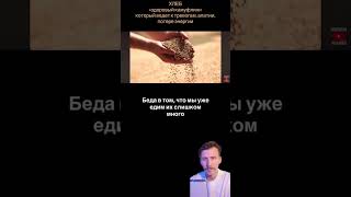 Этот хлеб уничтожит тебя #здоровье #саморазвитие #осознанность