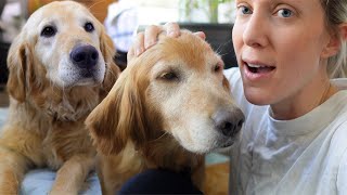 HOW ARE THEY DOING TOGETHER? CHLOE IS HOME!