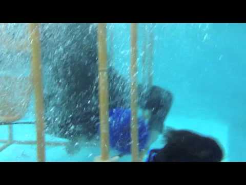 Hellenic Helo Dunker