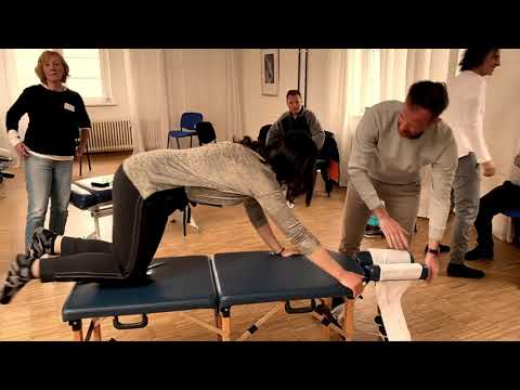 Advanced Chiropractic - Full Spine HIO