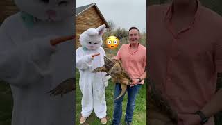 What Do The Animals Do On Easter? 🐣🐰🥚#shorts #easter