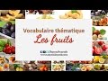 Vocabulaire français
